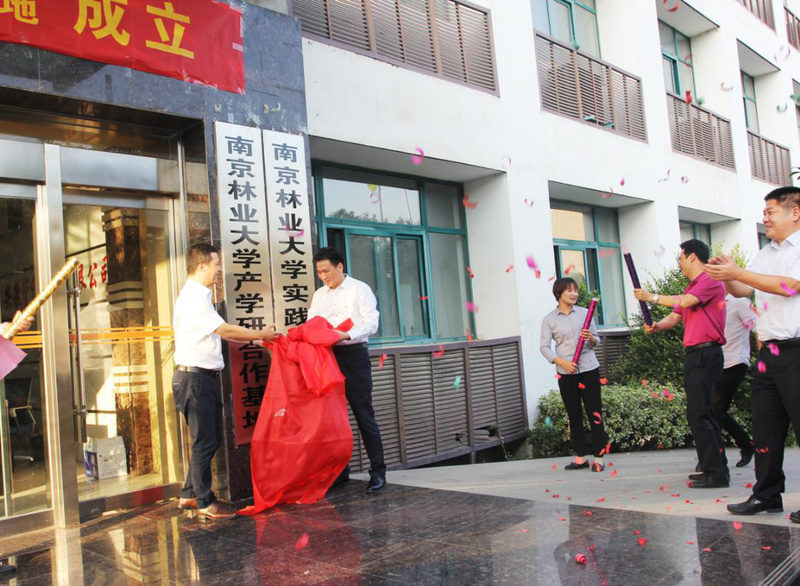 “南京林業(yè)大學(xué)產(chǎn)學(xué)研合作基地” “南京林業(yè)大學(xué)實(shí)踐教學(xué)基地” 落地安徽管仲木業(yè)(圖9)