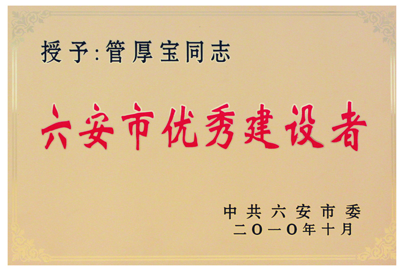 六安市優秀建設者(圖1)